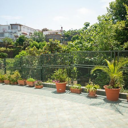 Villa Dei Sogni - Aparthotel Ischia Ponte Dış mekan fotoğraf