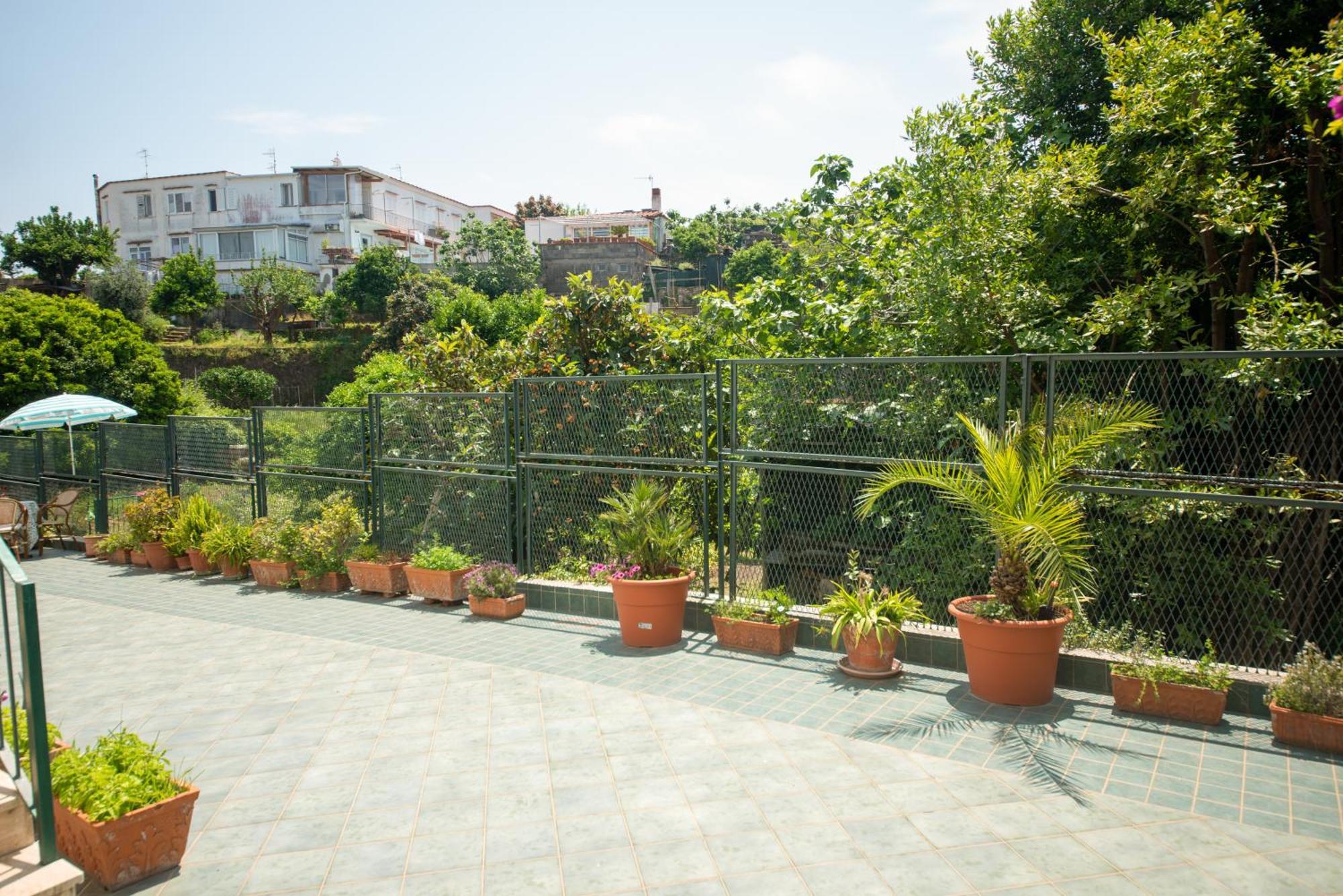 Villa Dei Sogni - Aparthotel Ischia Ponte Dış mekan fotoğraf